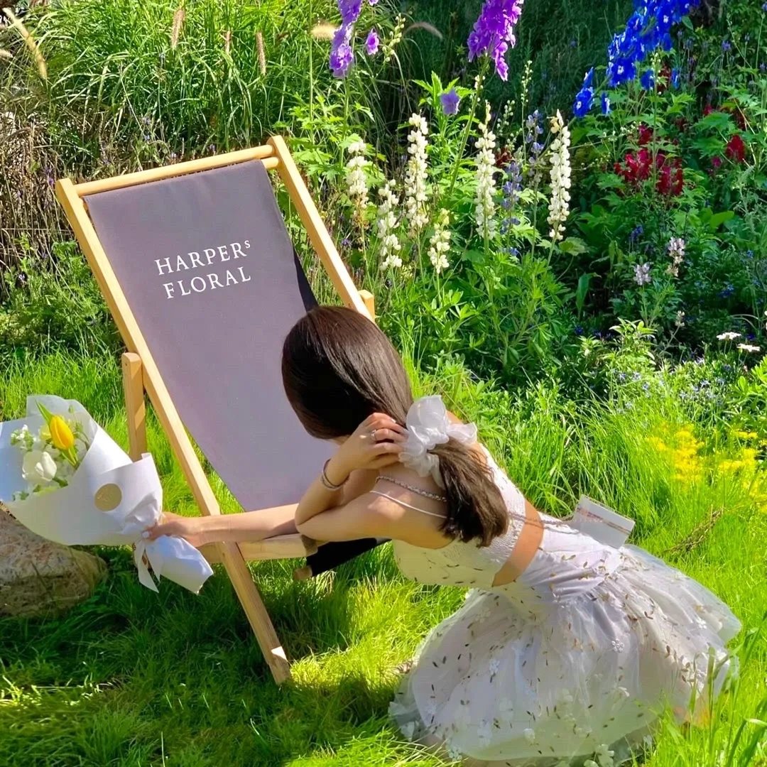 绿衣骑士